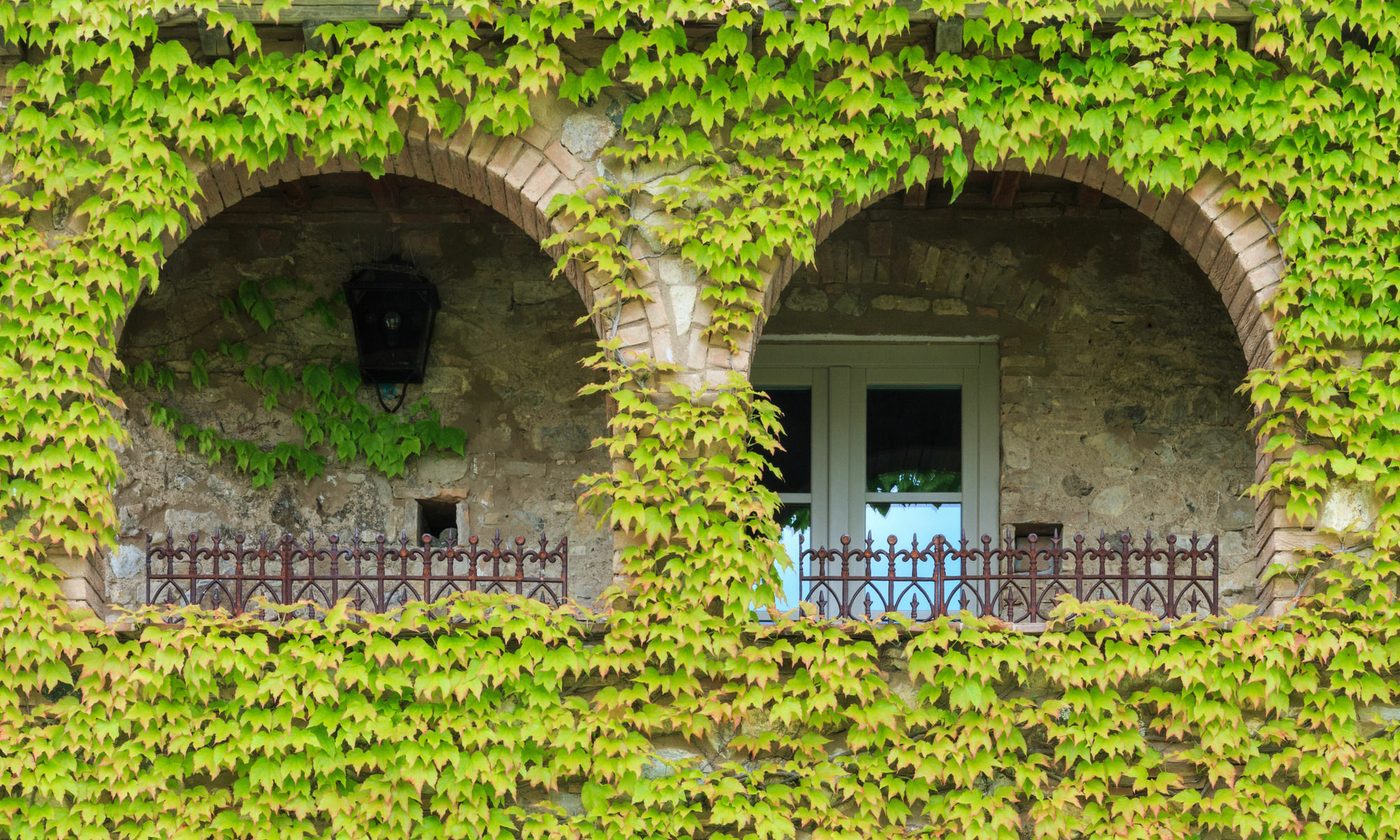 Relais Sant'Elena Bed & Breakfast Bibbona Luaran gambar